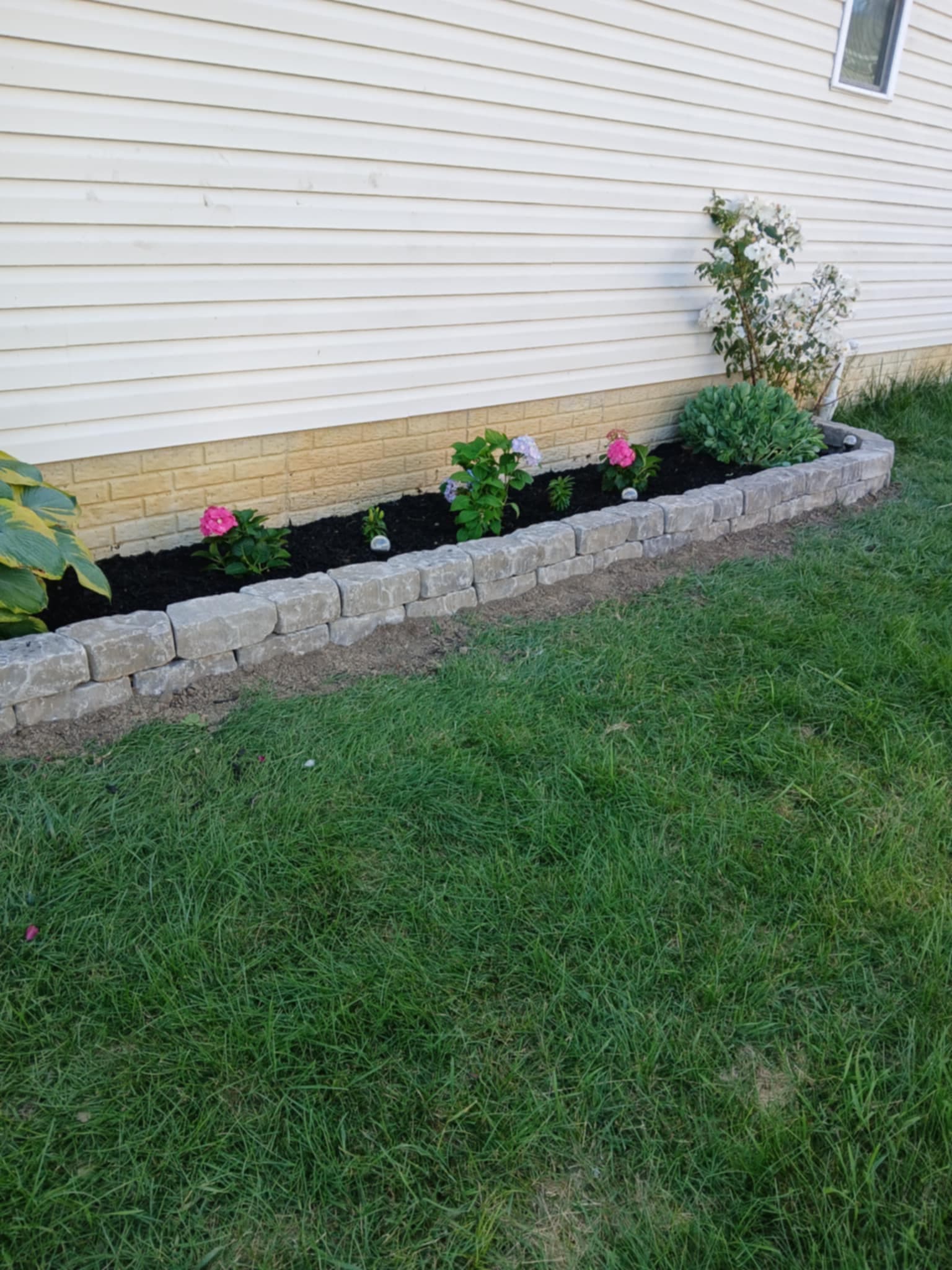 Stone border flower bed with fresh mulch and pink flowering plants