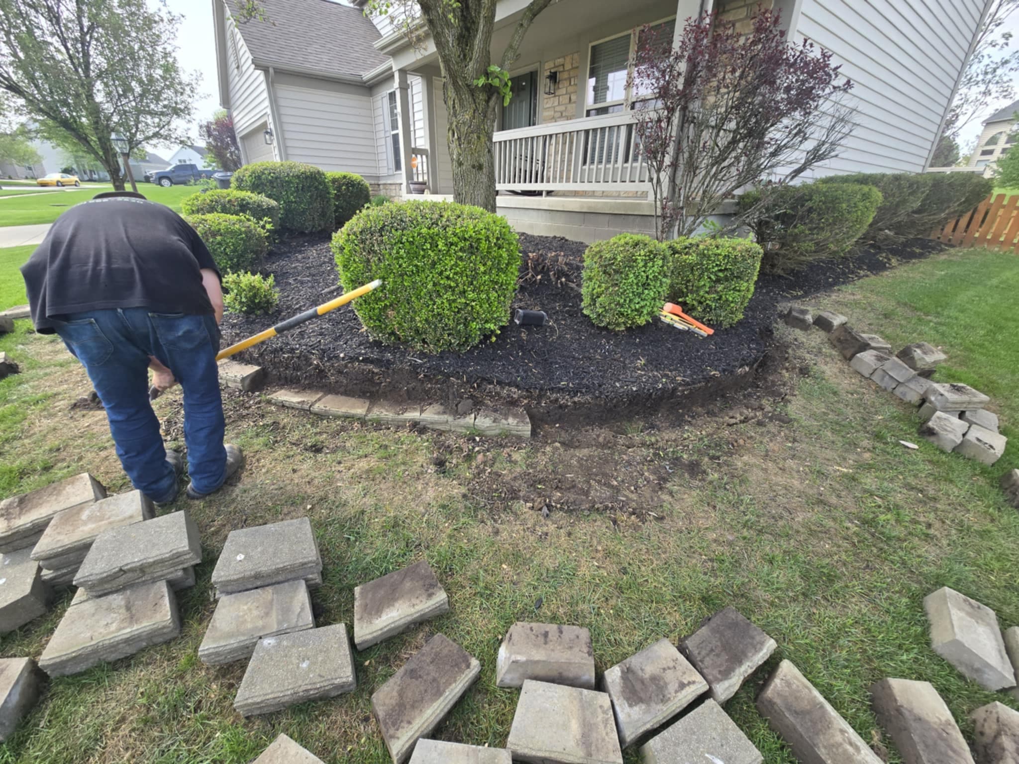 Worker installing stone border around shaped boxwood shrubs