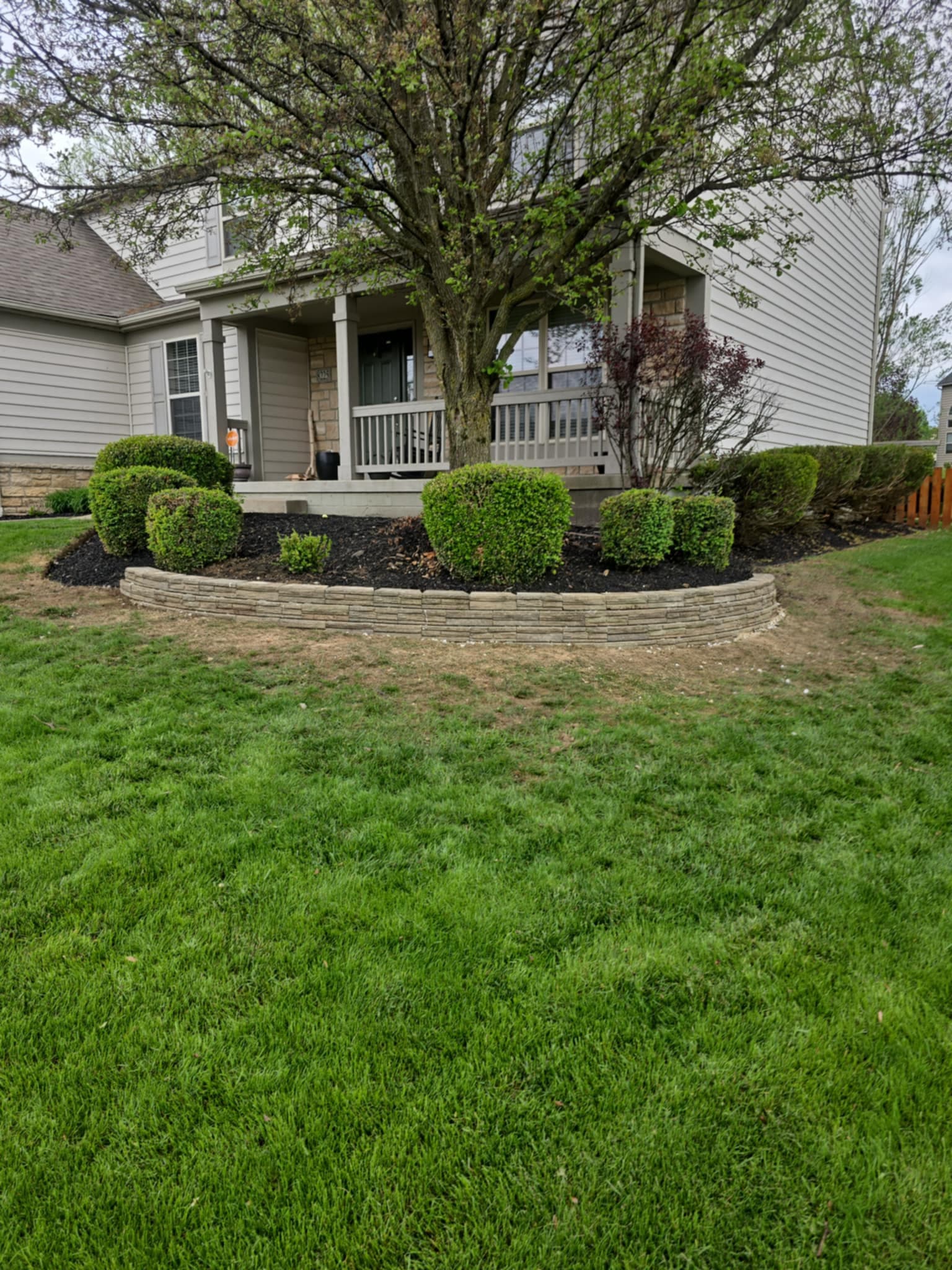 Beautiful curved stone retaining wall with shaped boxwood and lush lawn