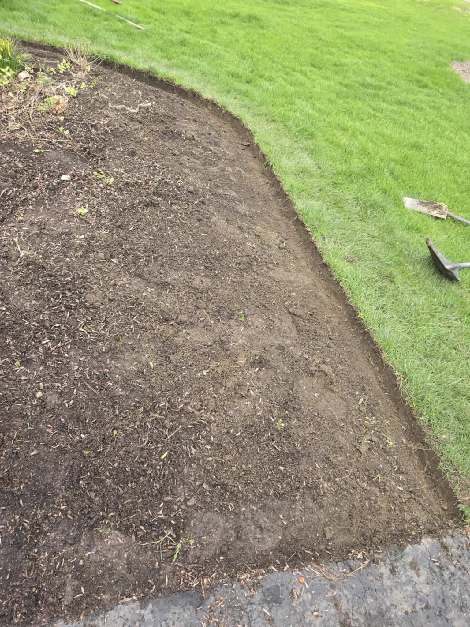 Curved bed edge preparation with soil work in progress