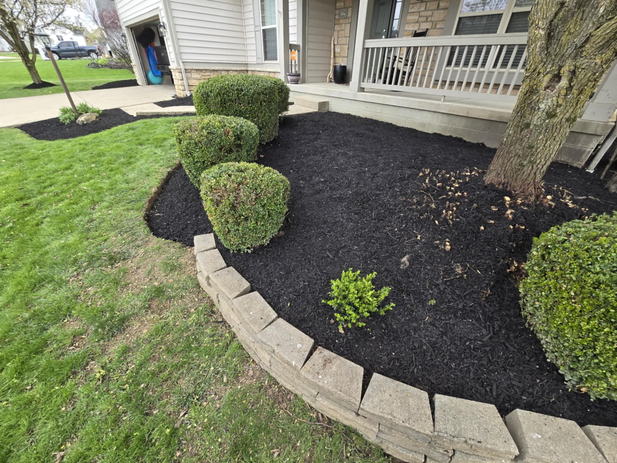 Stone block border bed with shaped boxwood shrubs and fresh dark mulch