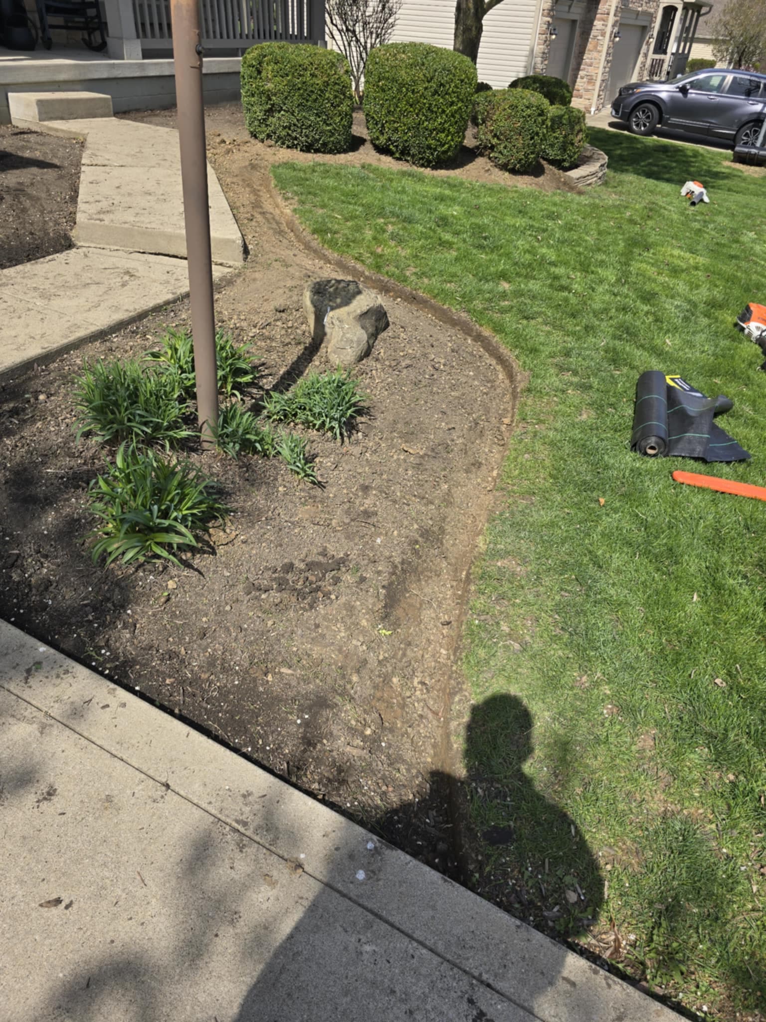 Seasonal Cleanup