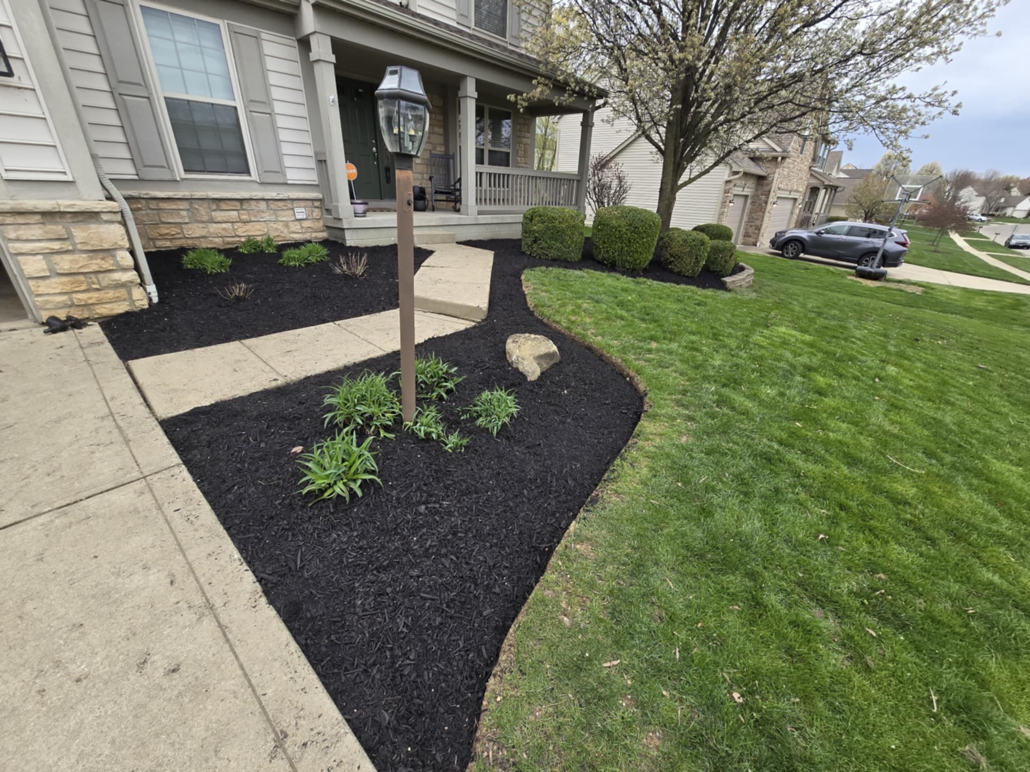 Completed landscape bed with fresh mulch, perennials, and decorative boulder